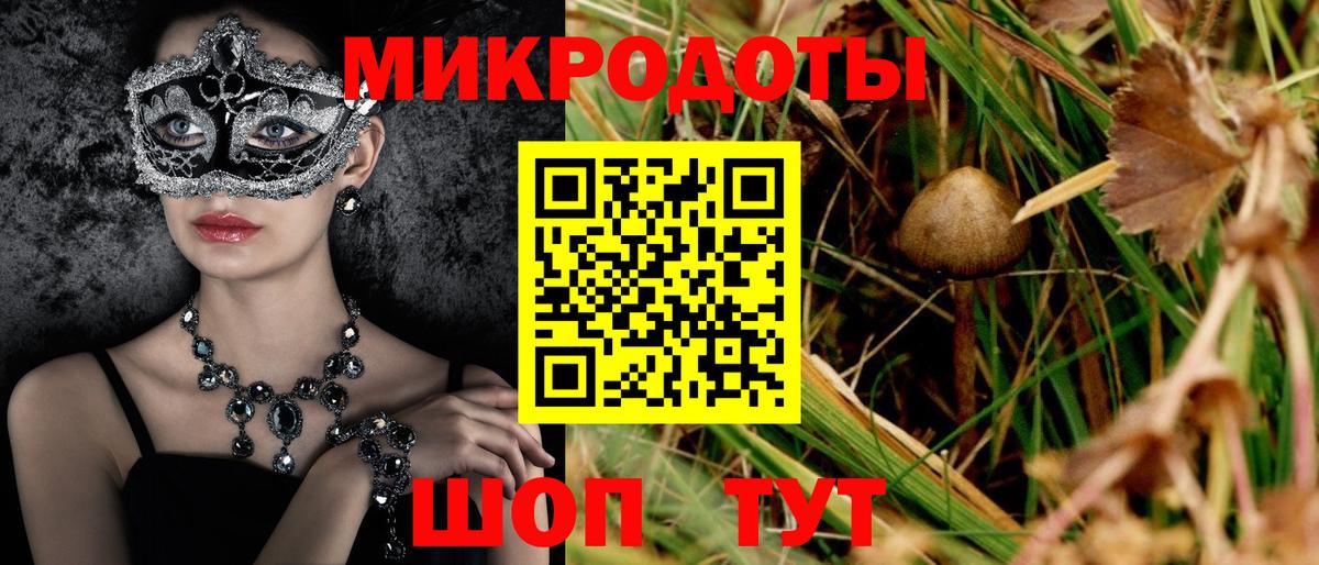 Жигулёвск  Галлюциногенные грибы Psilocybine cubensis  Вход с VPN  Псилоцибиновые грибы Cubensis 