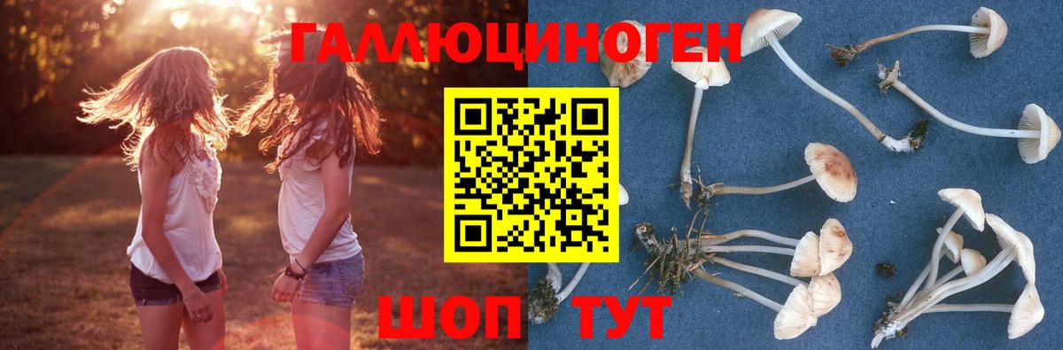 Галлюциногенные грибы мухоморы Жигулёвск